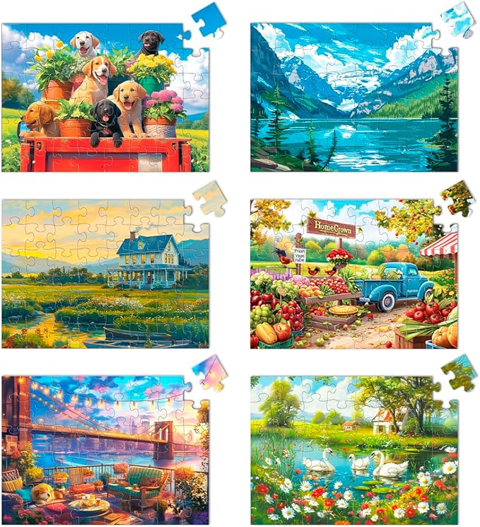 Yigney 6 Pack 48 Large Piece Jigsaw for Seniors Alzheimer Products for Elderly Dementia Activities Memory for Patients in Nursing Home with Storage Box