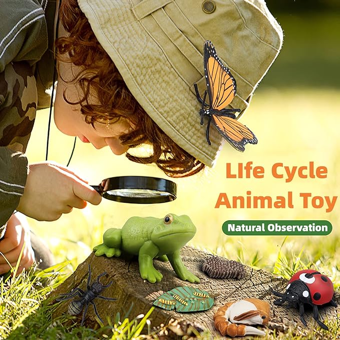 Montessori Bee Life Cycle with Flash Cards, Realistic Animal Figurines Toy, Animal Educational Matching Game for 3+ Year Old Toddlers Kids (Bee)