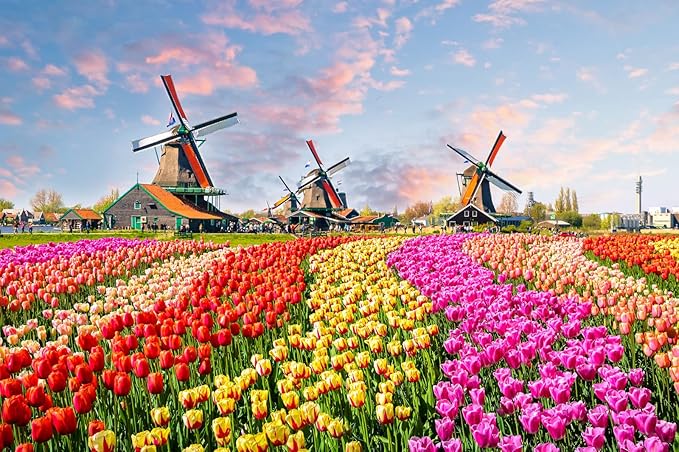 Jigsaw Puzzles 1000 Pieces for Adults Holland Tulip Fields 1000 Piece Puzzle Dutch Windmill Puzzle 1000 Pieces Tulips Flowers Puzzles Holland Landscape Puzzle Flower Jigsaw Puzzles for Adults Teens