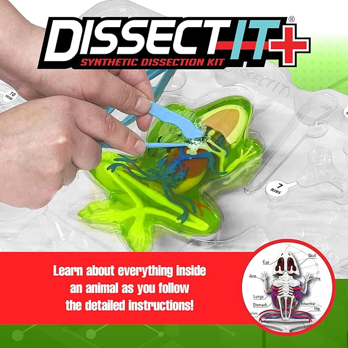 Dissect-It Kit for Kids, Simulated Synthetic Lab Dissection Toy, Frog Super Lab STEM Toys for Animal Science, Biology, and Anatomy