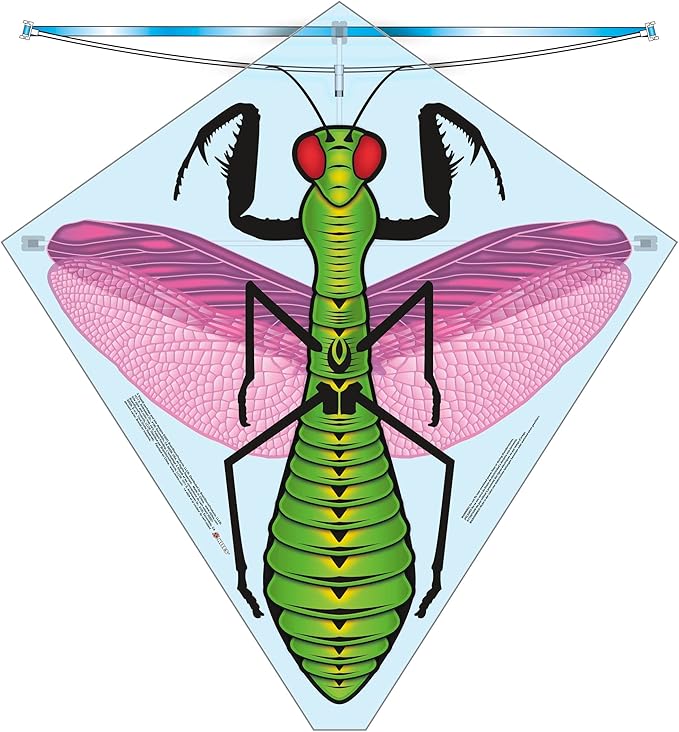 X Kites Buzz Kites® Kite Assortment Poly Kite