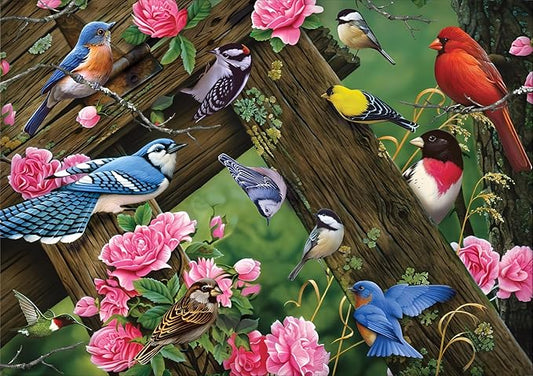 1000 Pieces Jigsaw Puzzle for Adults,Bird Wood Jigsaw Puzzle,Brain Challenge Educational Game Relaxation Family Activity Pastime Entertainment Activity Decorative Puzzle