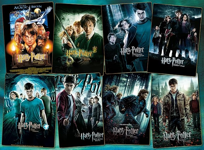 Ceaco - Harry Potter Posters - 1000 Piece Jigsaw Puzzle Challenging and Colorful Puzzles for Adults – Precision-Cut Pieces, Beautiful Artwork, and Hours of Relaxing Fun
