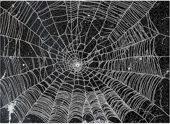 Jigsaw Puzzles for Adults 1000 Pieces, Double-Sided Difficult Challenging Unique Puzzle for Game Night Family Home Decor, 20x27 Inches, Double Cobweb
