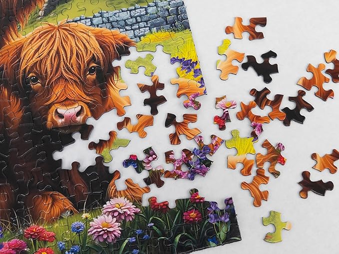 Springbok Highland Cows in The Countryside 500 Piece Jigsaw Puzzle for Adults and Family - Unique Cut Pieces - Made in USA