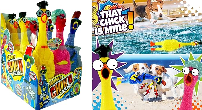 JA-RU Screaming Rubber Chicken Toy (12 Units Assorted) Squeaky Chicken Toys for Kids. Funny Noise Maker Prank & Gag Gifts. Novelty Toys & Amusements. Rubber Dog Toys. 1704-12s