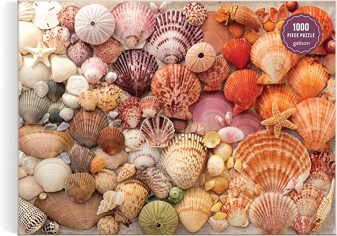 Galison Vibrant Seashells – Christine Chitnis 1000 Piece Puzzle Featuring Chromatic Seashell Arrangement On Sand