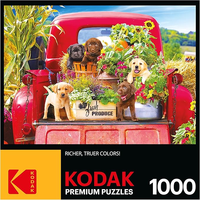 RoseArt - Kodak Premium - Stowaways - 1000 Piece Jigsaw Puzzle for Adults