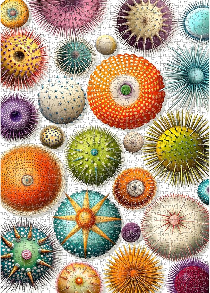 PICKFORU Colorful Sea Urchin Puzzles for Adults 1000 Pieces, Ocean Beach Puzzle, Challenging Puzzles for Adults, Nature Hard Jigsaw Puzzles