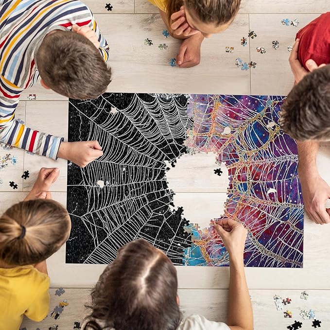 Jigsaw Puzzles for Adults 1000 Pieces, Double-Sided Difficult Challenging Unique Puzzle for Game Night Family Home Decor, 20x27 Inches, Double Cobweb