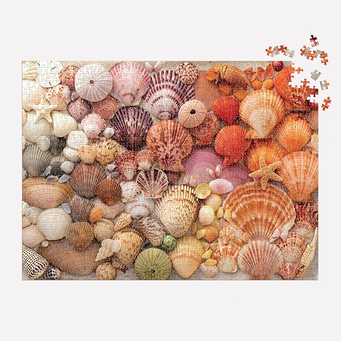 Galison Vibrant Seashells – Christine Chitnis 1000 Piece Puzzle Featuring Chromatic Seashell Arrangement On Sand