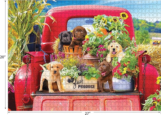 RoseArt - Kodak Premium - Stowaways - 1000 Piece Jigsaw Puzzle for Adults