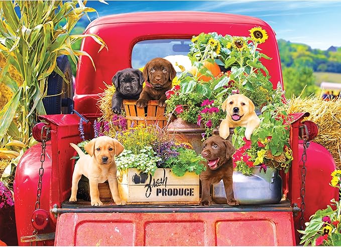 RoseArt - Kodak Premium - Stowaways - 1000 Piece Jigsaw Puzzle for Adults