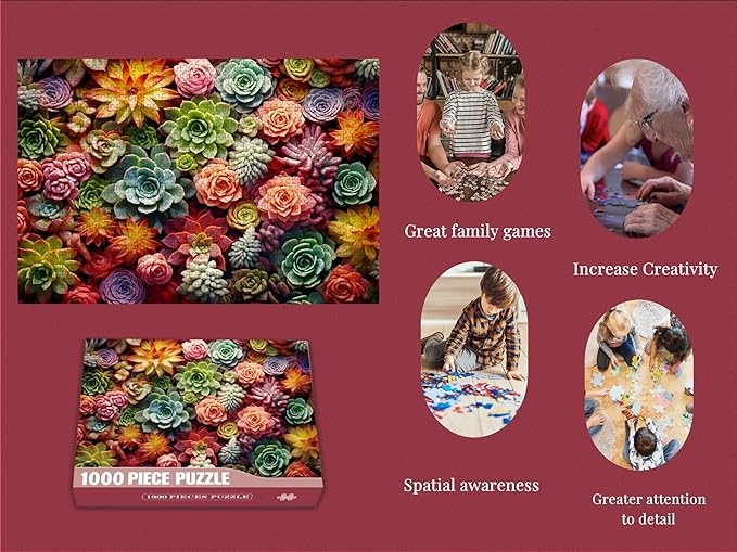 1000 Piece Puzzle for Adults - Succulent Plants - Family Toys, Gift (Succulent, 1000 Pieces)