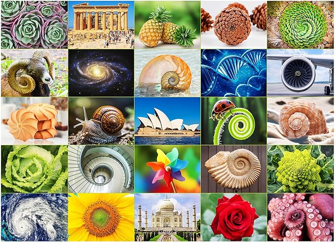 BenBen 1000 Piece Puzzle for Adults, 25 Fibonacci Spirals in Nature, Jigsaw Puzzles with Letters on Back, Challenging Puzzle for Game Night Home Décor