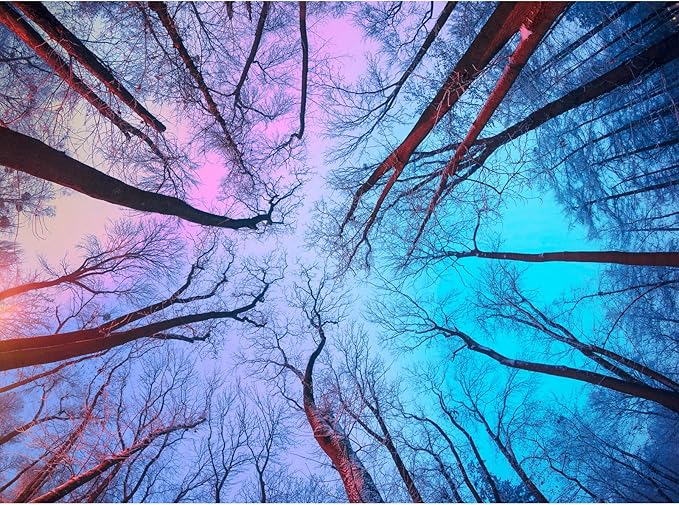 HUADADA Puzzles for Adults 1000 Pieces,Challenging Game Toys, Puzzles 1000 Pieces,Impossible Puzzle, Family Decoration Puzzle 1000-Winter Forest