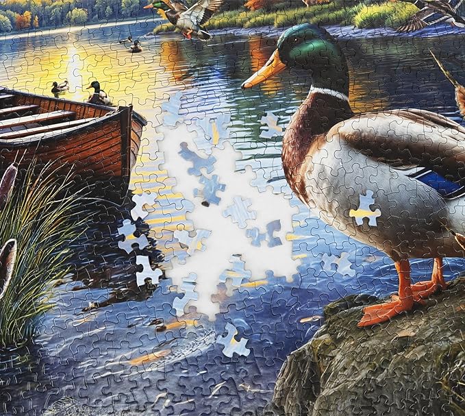 Springbok Mallard Morning Glow 1000 Piece Jigsaw Puzzle for Adults - Duck by the Lake - Unique Cut Pieces - Made in USA
