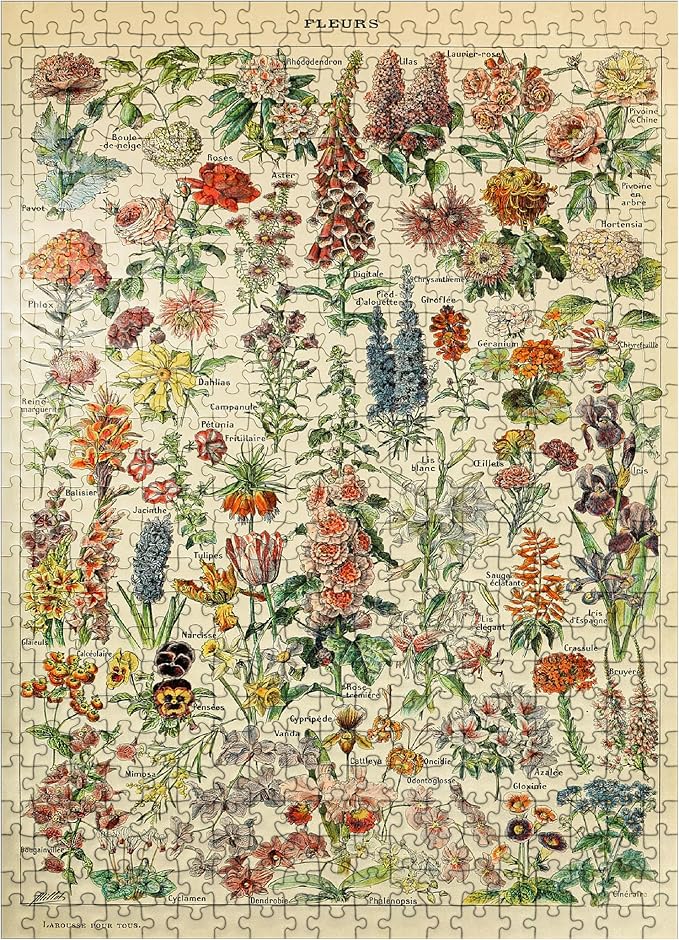 MyPuzzle Fleurs - Flowers for All, Vintage Art Poster, Adolphe Millot - Premium 500 Piece Jigsaw Puzzle for Adults
