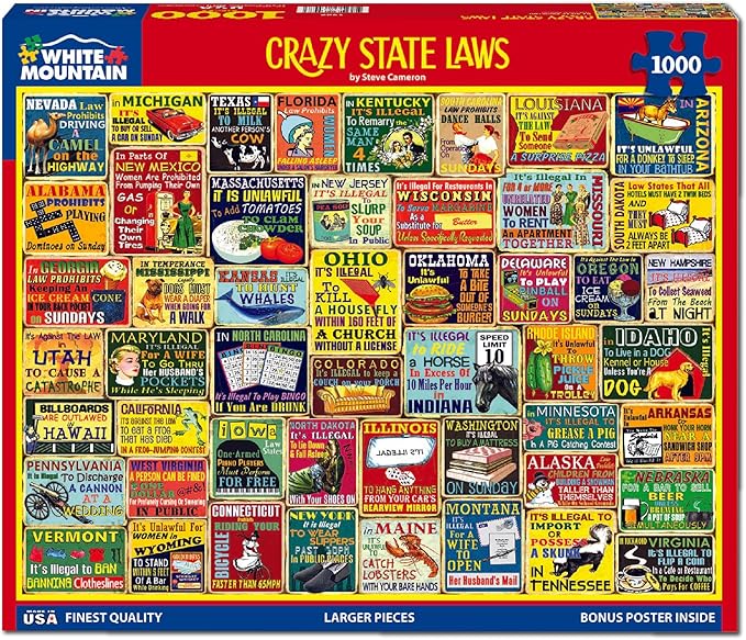 White Mountain 1000 Piece Jigsaw Puzzle Funny Rules Collage Puzzles with Large Pieces Gift for Adults and Family 24"x30" - Crazy State Laws