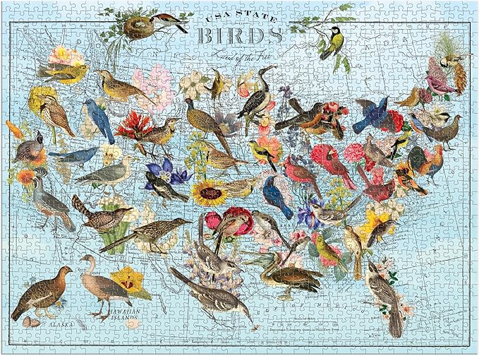 Galison Wendy Gold State Birds 1000 Piece Puzzle from Galison - Vibrantly Illustrated Birds of The US, Featuring The Artwork of Wendy Gold, Thick and Sturdy Pieces, Fun and Challenging Family Activity