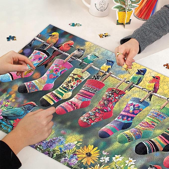 Bimkole Birds and Socks Puzzles for Adults 1000 Pieces, Flower Paper Jigsaw Puzzle 1000 Pieces - Fun and Challenging Family Decoration Puzzle Great Gift Idea, Finished Size is 31.5 x 16.14 in