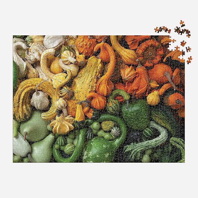 Galison Gourds 1000 Piece Puzzle from Galison - 27" x 20" Puzzle, Beautiful Art by Julie Seabrook Ream, Thick and Sturdy Pieces, Fun and Challenging Activity for Adults, Makes a Great Gift!