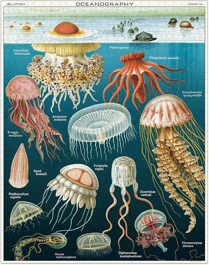 Cavallini Papers & Co. Jelly Fish 1,000 Piece Puzzle, Multi