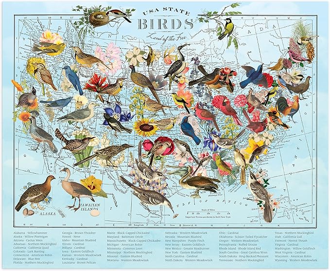 Galison Wendy Gold State Birds 1000 Piece Puzzle from Galison - Vibrantly Illustrated Birds of The US, Featuring The Artwork of Wendy Gold, Thick and Sturdy Pieces, Fun and Challenging Family Activity