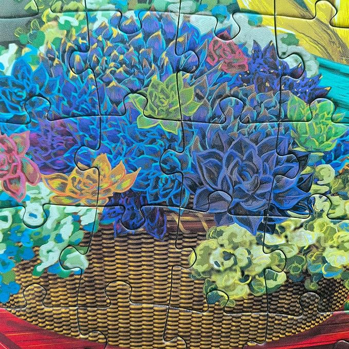300 Piece Puzzles for Adults Large Piece - Jigsaw Puzzles for Seniors Kids - Succulent Afternoon Dreams - Licensed by Joseph Burgess