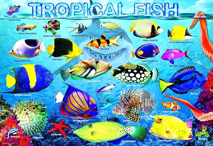 EuroGraphics Tropical Fish 100Piece Puzzle, Multi-Colored