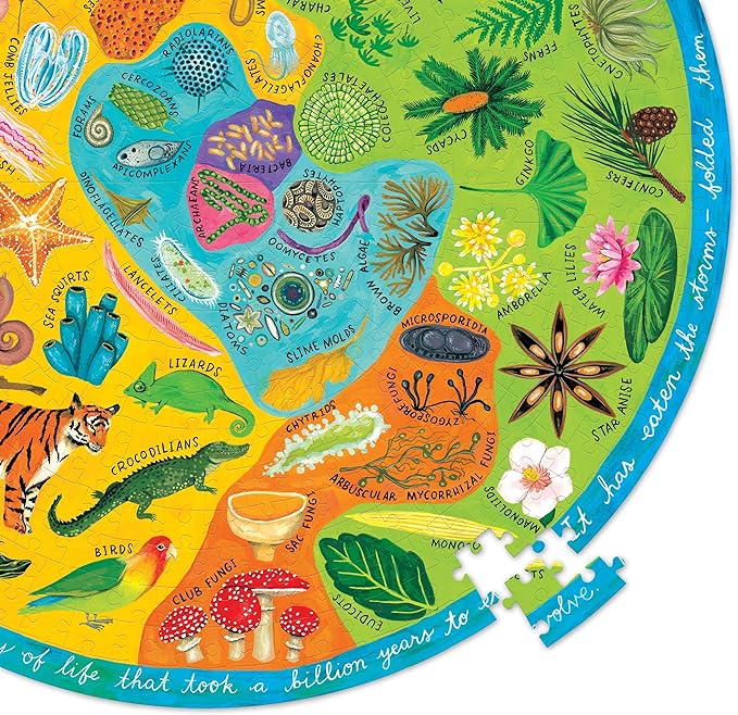 eeBoo 500 Piece Puzzle - Biodiversity Jigsaw Puzzle for Adults, Circular with 23" Diameter Made with Recycled Board & Vegetable-Based Ink